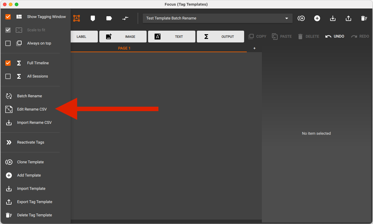 Focus - Batch Rename Edit rename.png