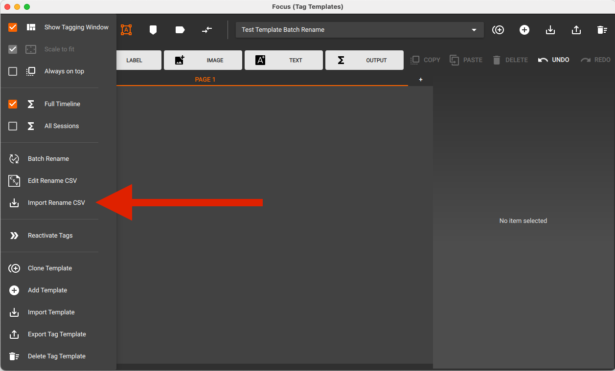 Focus - Batch Rename Import.png