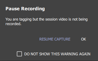 paused_recording_tagging.png