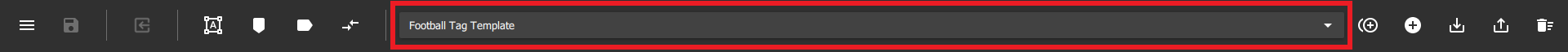 Switching between Tag Templates.png